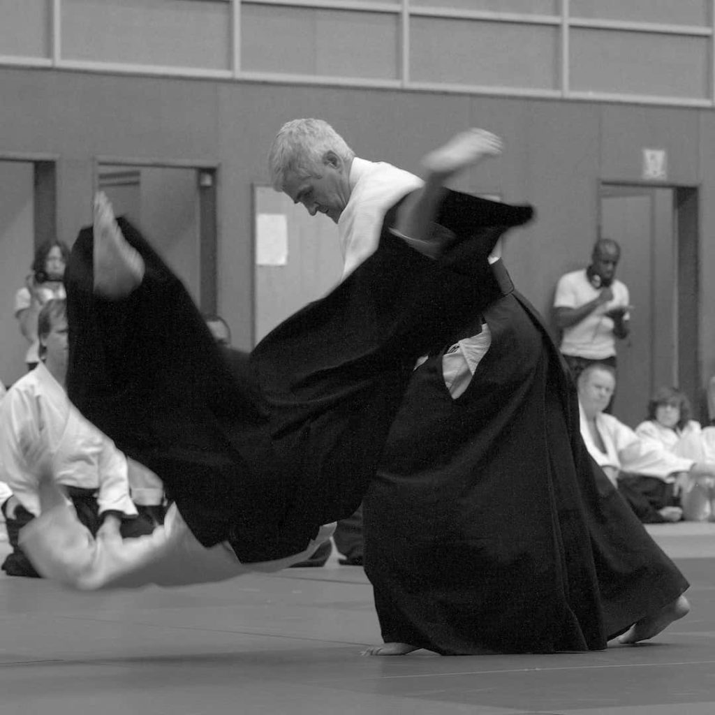 AIKIDO LUISANT