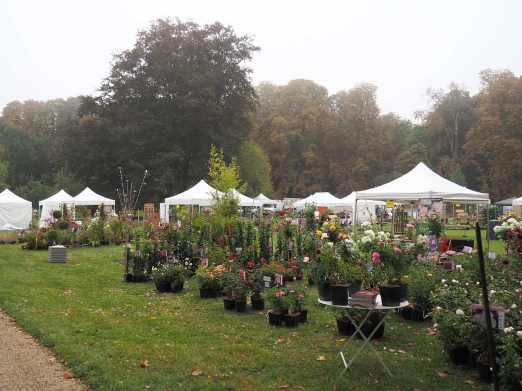 FETE DES PLANTES BARJOUVILLE 2019