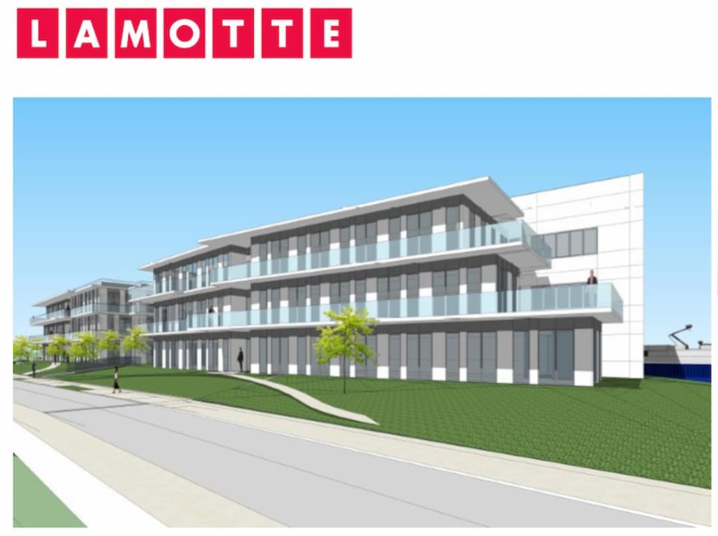 lamotte