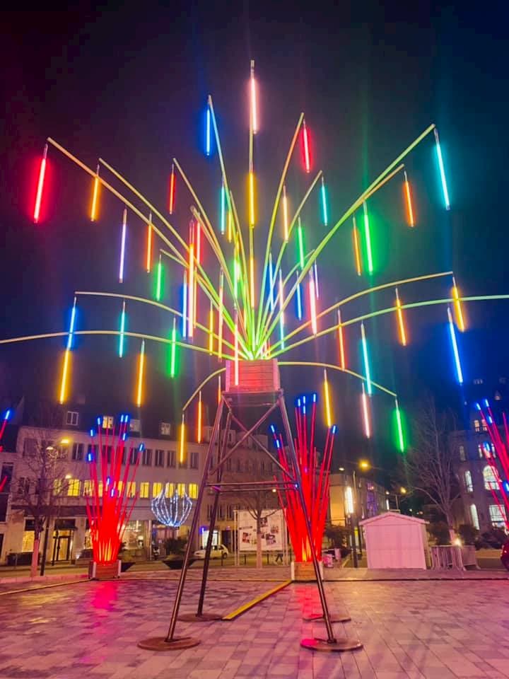 Echinodermus - Crédit : Les Vitrines de Chartres 2020