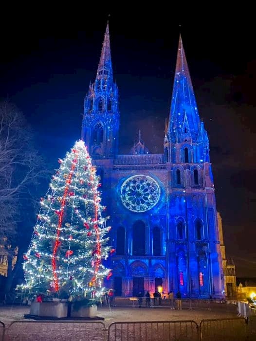 Sapin de Noël -Crédit : Les Vitrines de Chartres 2020